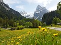 Альпы.Швейцария. Авторские туры по Швейцарии с частным русским гидом