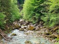 горная река в Альпах. Авторские туры по Швейцарии с частным русским гидом