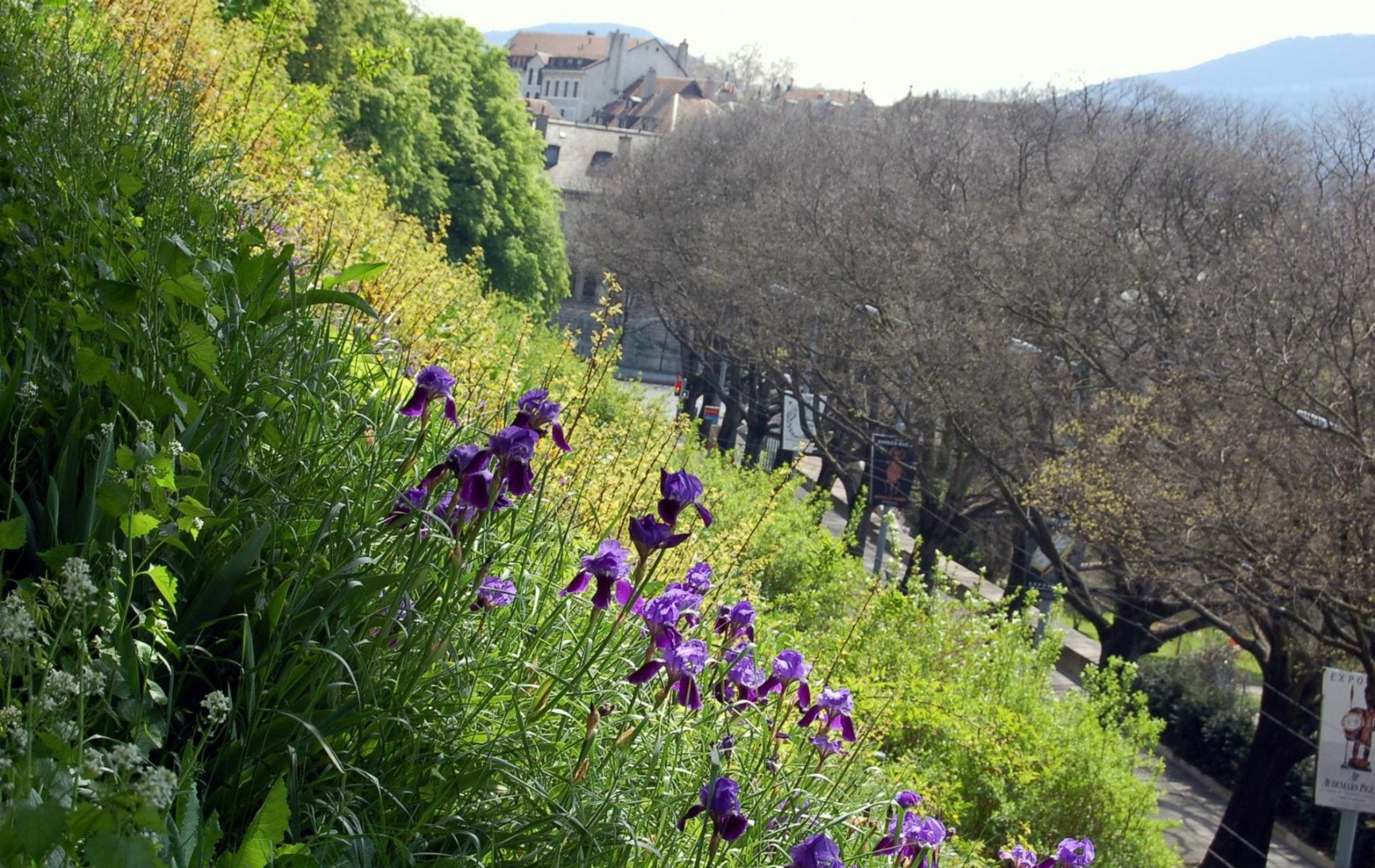 Женева весной. Швейцария