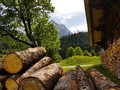 Швейцария.Горы. Авторские туры по Швейцарии с частным русским гидом