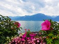 Женевское озеро.Швейцария. Авторские туры по Швейцарии с частным русским гидом