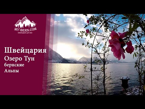 Видео о Швейцарии. Озеро Тун, Бернские Альпы, Швейцария